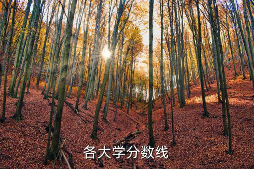 各大學分數線