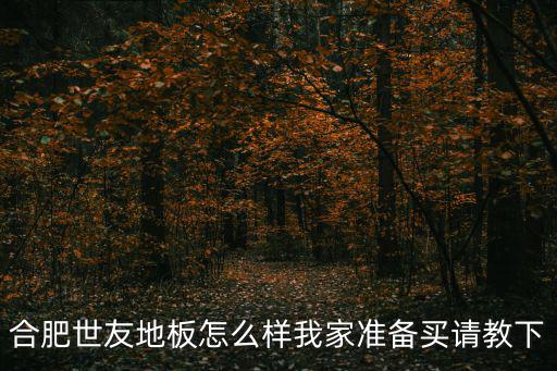 合肥世友地板怎么樣我家準備買請教下