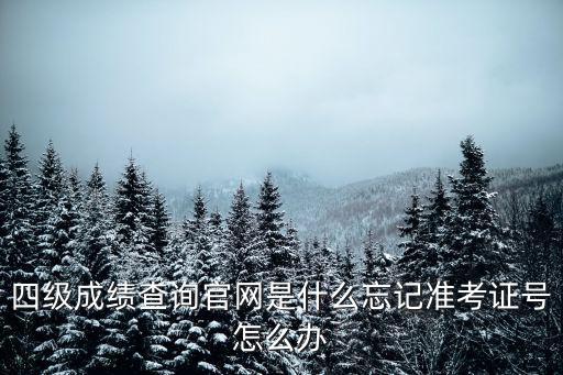四級成績查詢官網，四級成績查詢官網是什么忘記準考證號怎么辦
