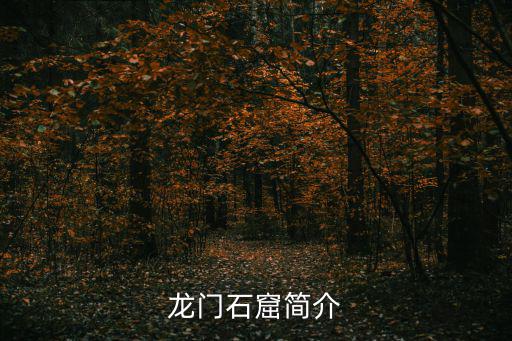 龍門石窟簡介，關于洛陽龍門石窟
