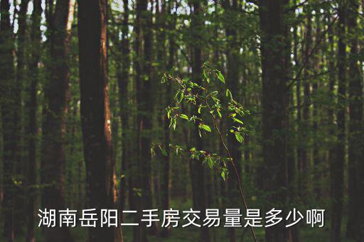 湖南岳陽二手房交易量是多少啊