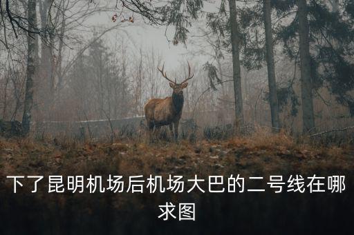 下了昆明機場后機場大巴的二號線在哪求圖