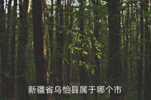 新疆省烏恰縣屬于哪個市