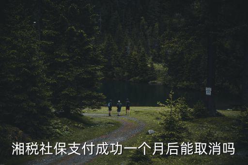 湘稅社保支付成功一個(gè)月后能取消嗎