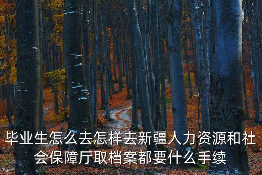 畢業(yè)生怎么去怎樣去新疆人力資源和社會保障廳取檔案都要什么手續(xù)
