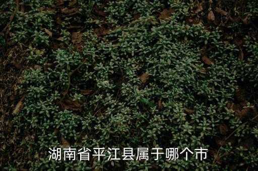 湖南省平江縣屬于哪個市