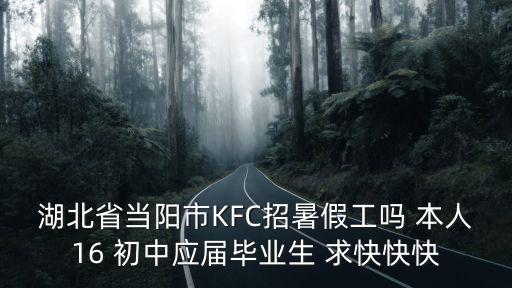 湖北省當陽市KFC招暑假工嗎 本人16 初中應屆畢業生 求快快快