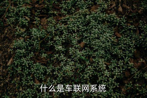 什么是車聯(lián)網(wǎng)系統(tǒng)