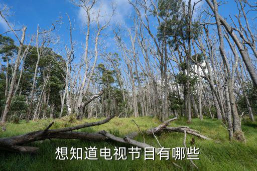 想知道電視節(jié)目有哪些