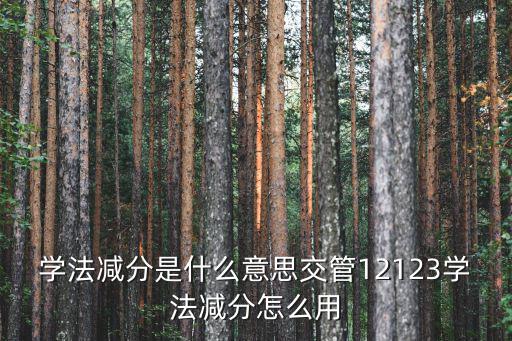 學(xué)法減分是什么意思交管12123學(xué)法減分怎么用
