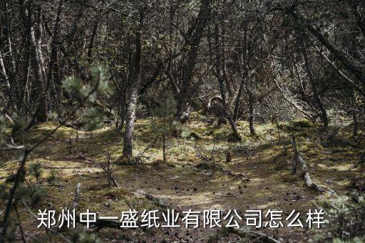 鄭州中一盛紙業有限公司怎么樣