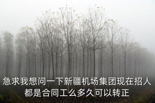 急求我想問一下新疆機(jī)場集團(tuán)現(xiàn)在招人都是合同工么多久可以轉(zhuǎn)正