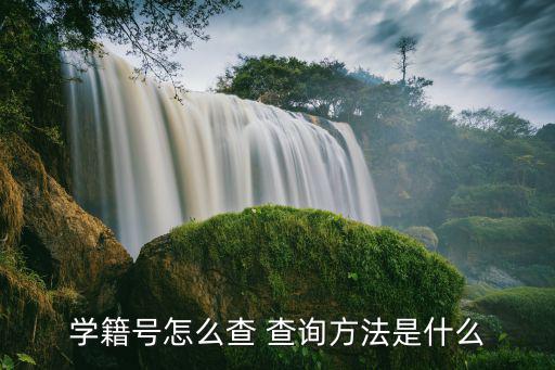 怎么查學籍信息，如何查學籍信息
