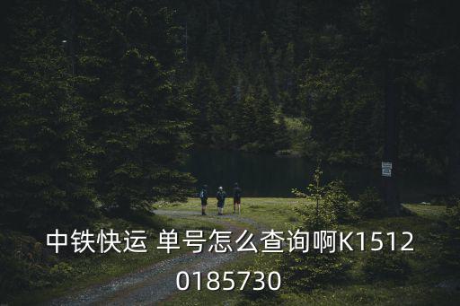 中鐵快運 單號怎么查詢啊K15120185730
