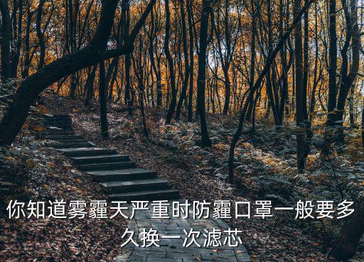 你知道霧霾天嚴重時防霾口罩一般要多久換一次濾芯