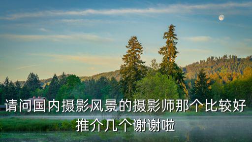 請(qǐng)問國(guó)內(nèi)攝影風(fēng)景的攝影師那個(gè)比較好推介幾個(gè)謝謝啦