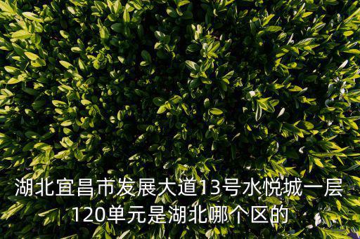 湖北宜昌市發展大道13號水悅城一層120單元是湖北哪個區的