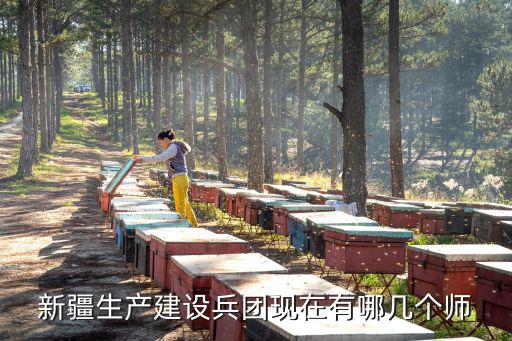 新疆生產建設兵團現在有哪幾個師