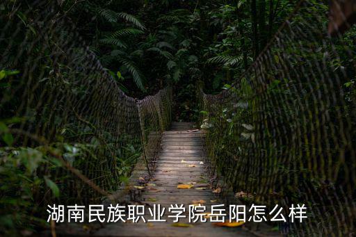 湖南民族職業學院岳陽怎么樣