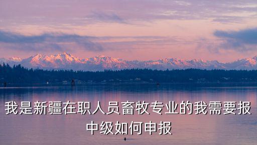 我是新疆在職人員畜牧專業的我需要報中級如何申報