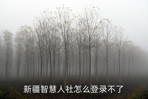 新疆智慧人社，新疆烏魯木齊市有哪些智慧社區(qū)平臺(tái)