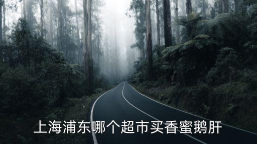 上海浦東哪個超市買香蜜鵝肝
