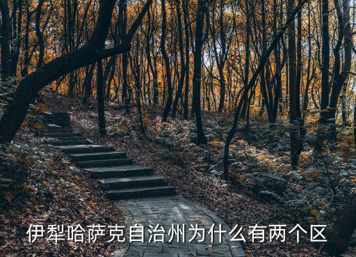 伊犁哈薩克自治州為什么有兩個區