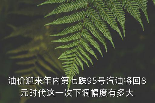 油價迎來年內第七跌95號汽油將回8元時代這一次下調幅度有多大