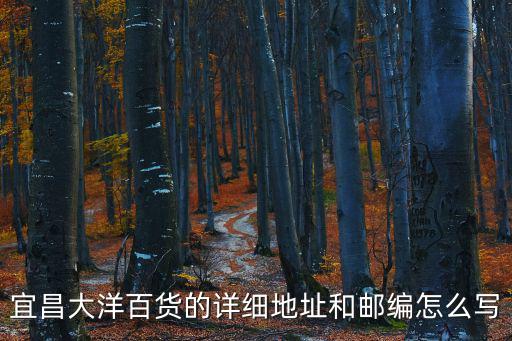 宜昌大洋百貨的詳細地址和郵編怎么寫