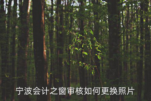 寧波會計之窗審核如何更換照片