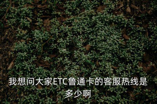 我想問大家ETC魯通卡的客服熱線是多少啊
