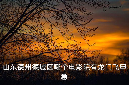 山東德州德城區(qū)哪個電影院有龍門飛甲急