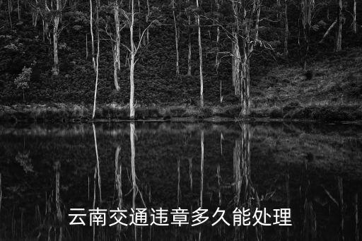 云南交通違章多久能處理