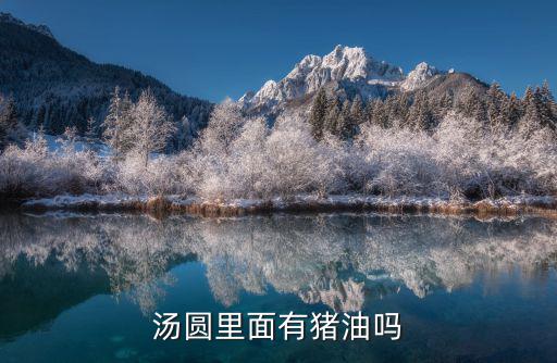 湯圓里面有豬油嗎