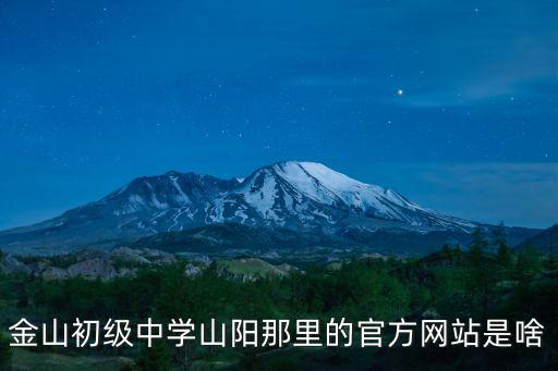 金山初級中學山陽那里的官方網站是啥
