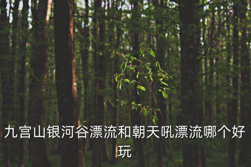 九宮山銀河谷漂流和朝天吼漂流哪個好玩