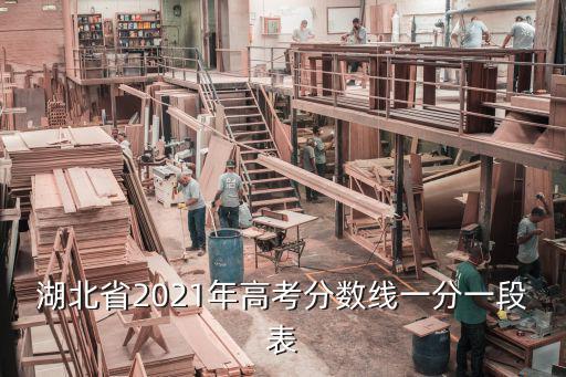 湖北省2021年高考分數線一分一段表