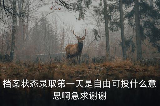 檔案狀態(tài)錄取第一天是自由可投什么意思啊急求謝謝