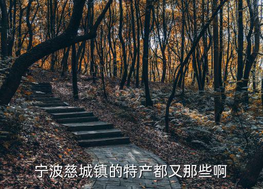 寧波慈城鎮的特產都又那些啊