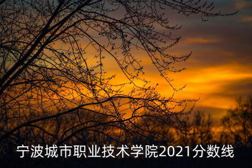 寧波城市職業(yè)技術(shù)學(xué)院2021分數(shù)線