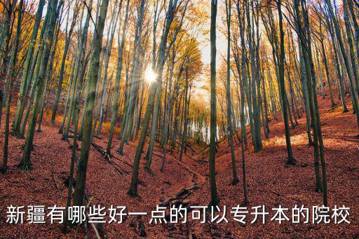 新疆專升本，新疆有哪些好一點的可以專升本的院校