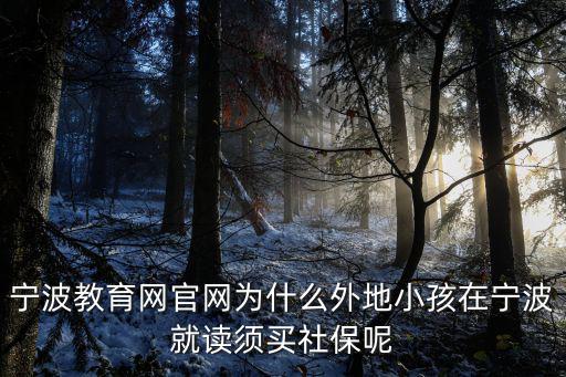 寧波教育網官網為什么外地小孩在寧波就讀須買社保呢