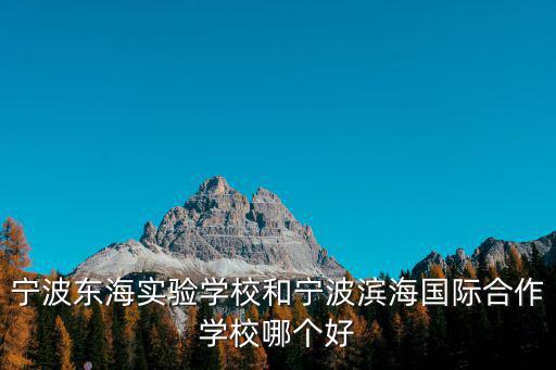寧波東海實驗學(xué)校和寧波濱海國際合作學(xué)校哪個好