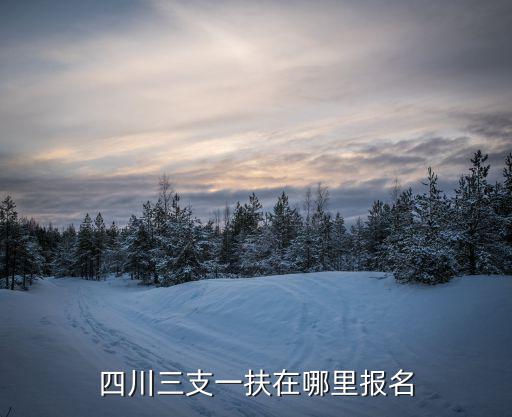 四川三支一扶在哪里報名