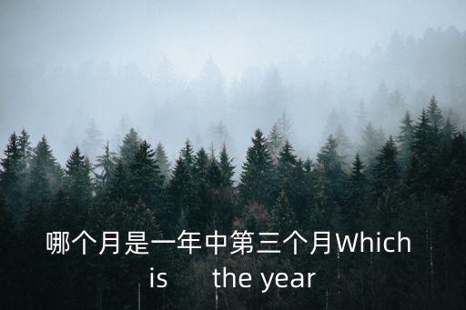 哪個(gè)月是一年中第三個(gè)月Which is      the year