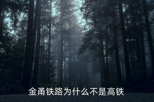金甬鐵路為什么不是高鐵