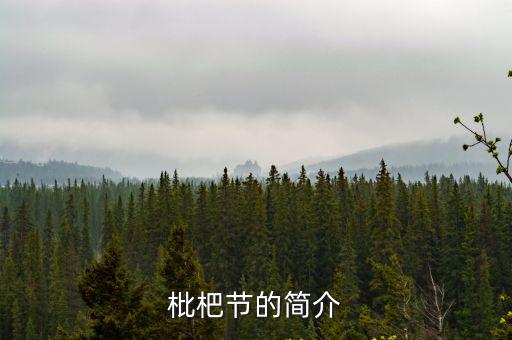 枇杷節(jié)的簡介