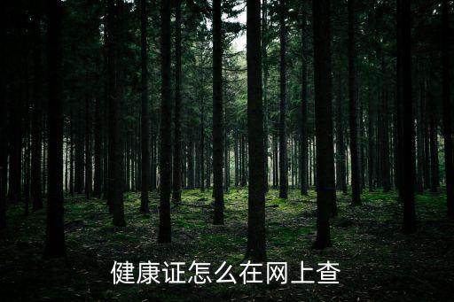 健康證怎么在網上查