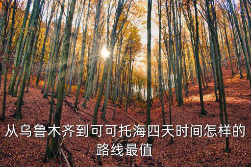 從烏魯木齊到可可托海四天時間怎樣的路線最值