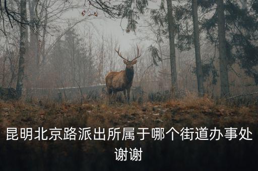 昆明北京路派出所屬于哪個街道辦事處謝謝